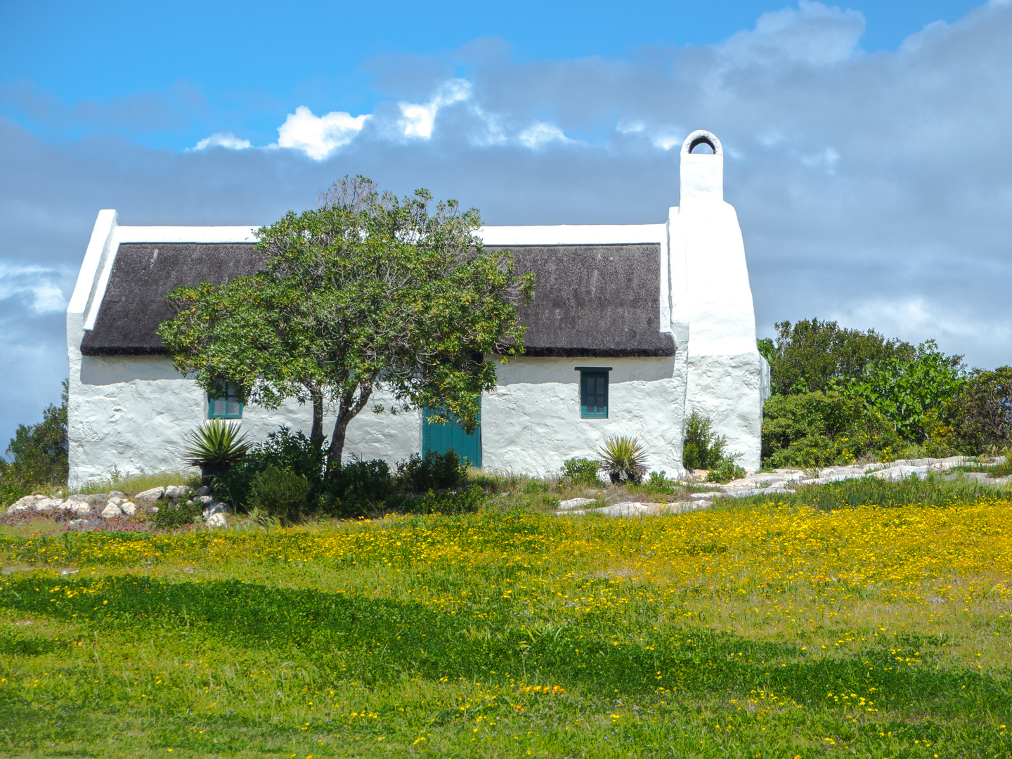 Frühling auf Kap Agulhas 