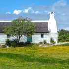 Frühling auf Kap Agulhas 