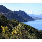 Frühling auf Korsika