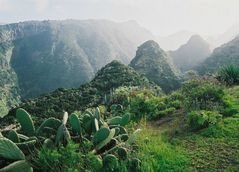 Frühling auf La Palma