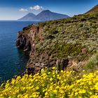 Frühling auf Lipari