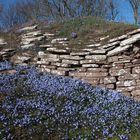 Frühling auf Öland