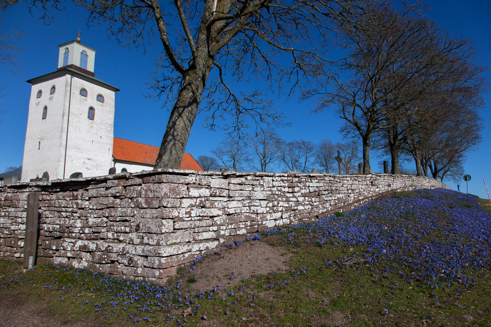 Frühling auf Öland II