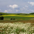 Frühling auf Rügen 2