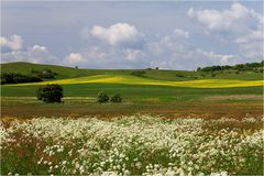 Frühling auf Rügen 2