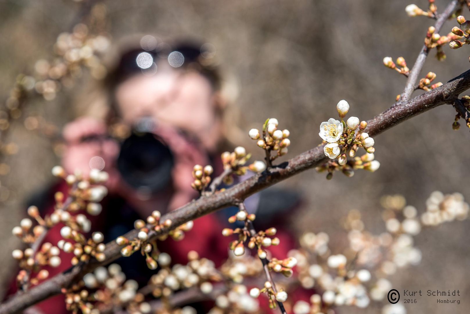 Frühling auf Rügen