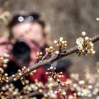 Frühling auf Rügen