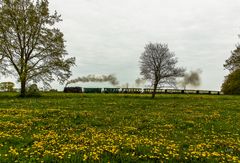 Frühling auf Rügen