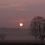 Frühling auf Vorrat