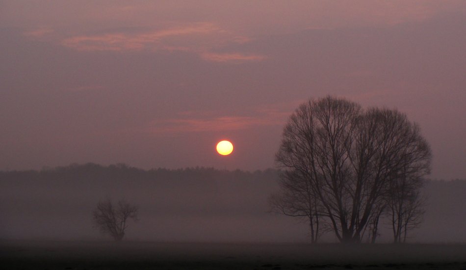 Frühling auf Vorrat