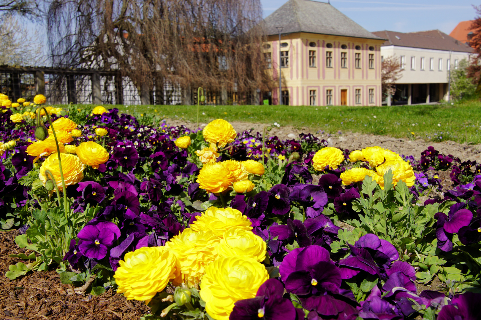 Frühling auf Weihenstephan