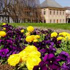 Frühling auf Weihenstephan