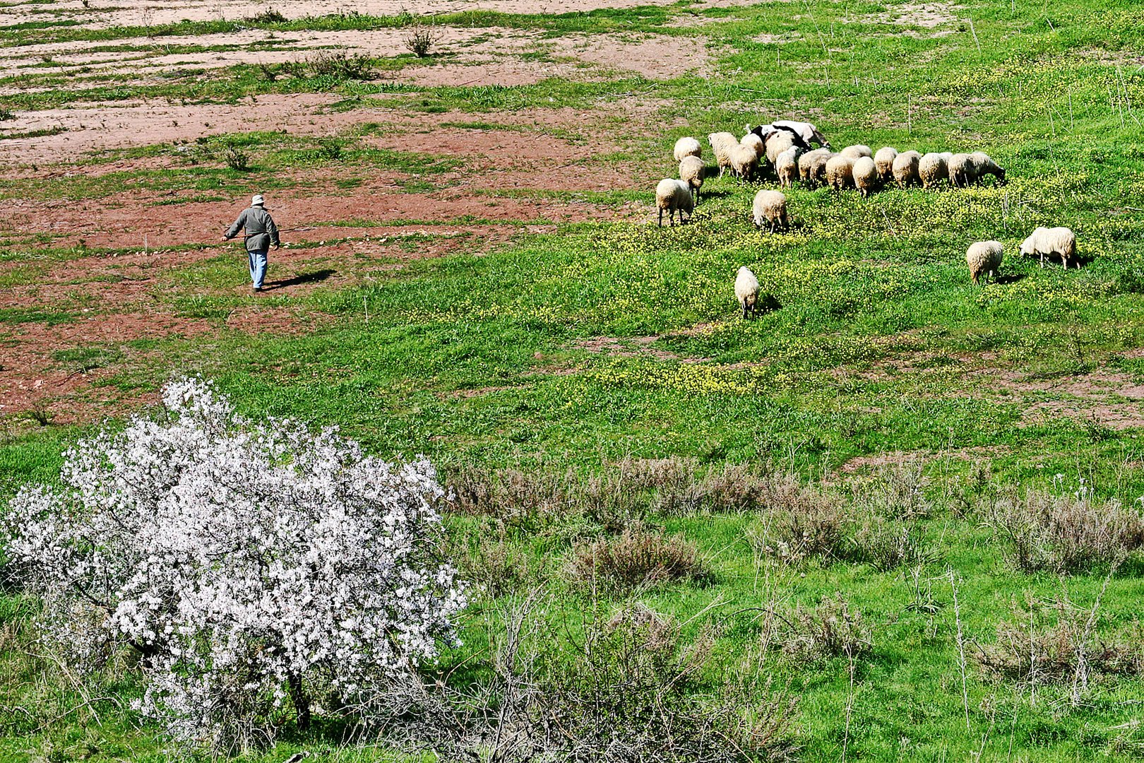 Frühling auf Zypern