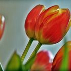 Frühling aus den Supermarkt