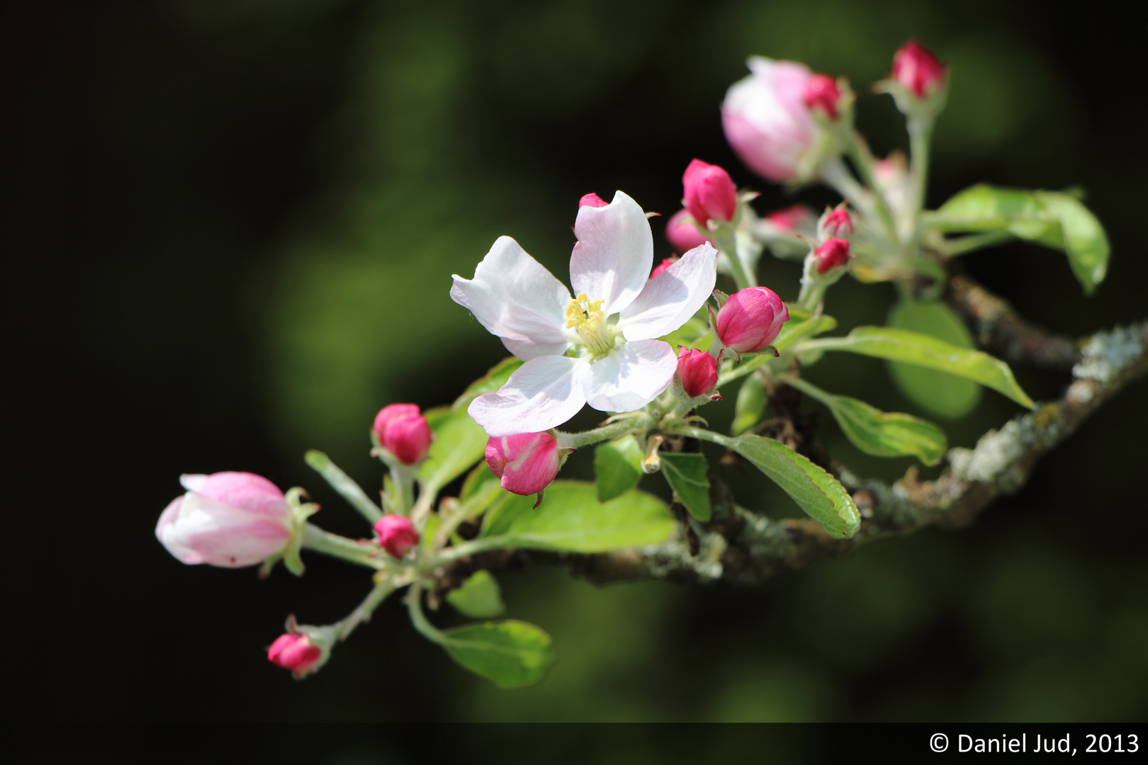 Frühling