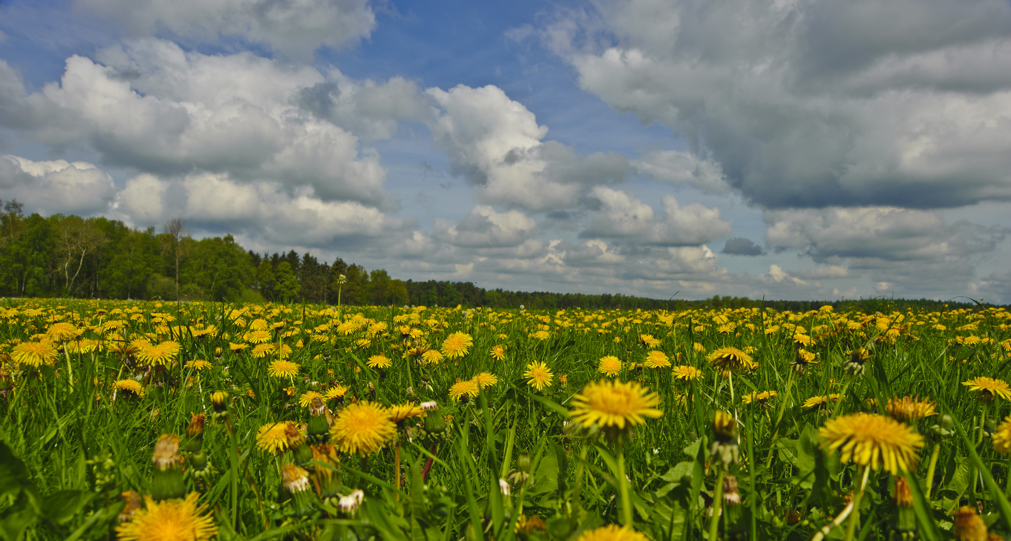 Frühling