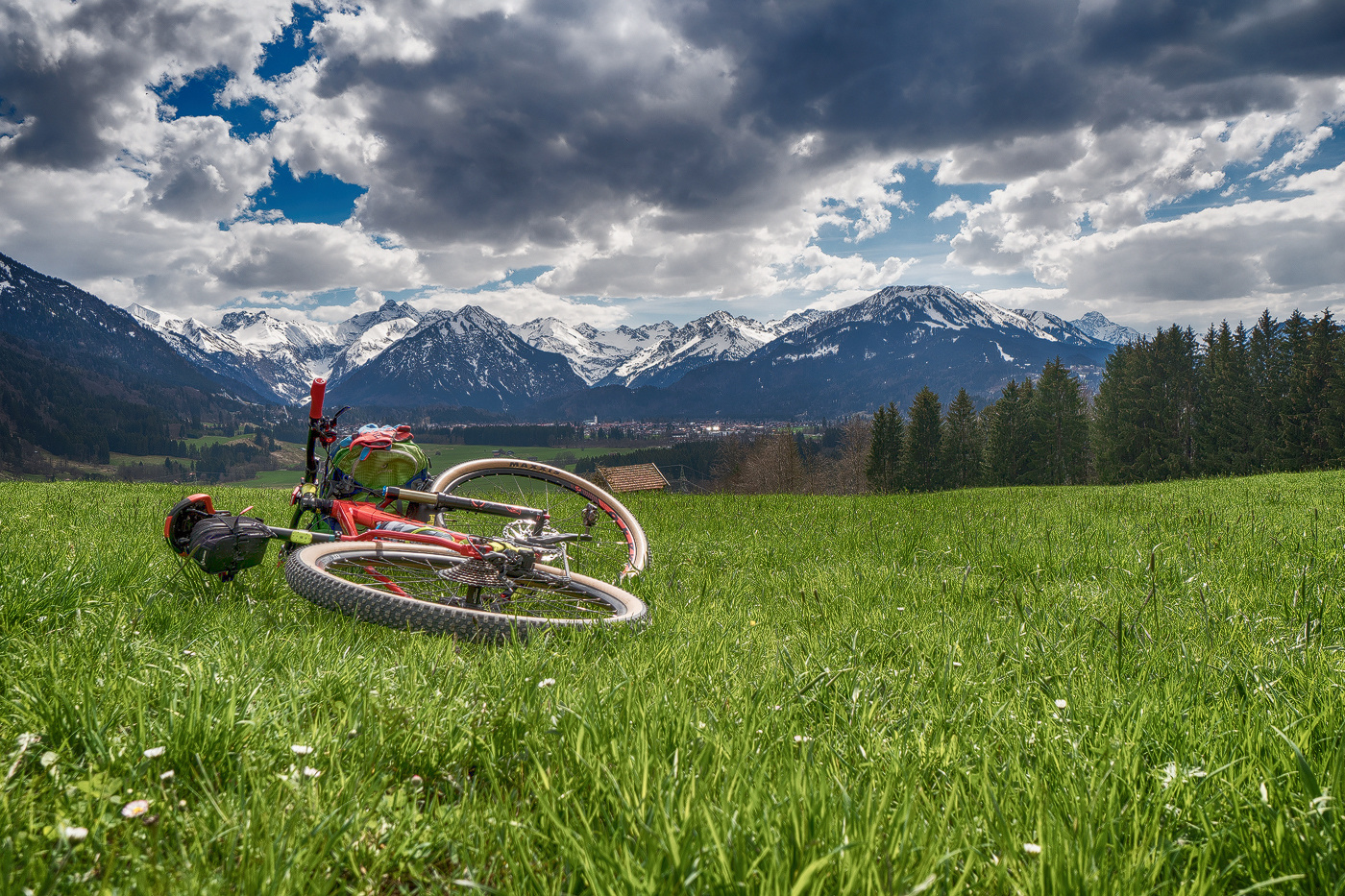 Frühling