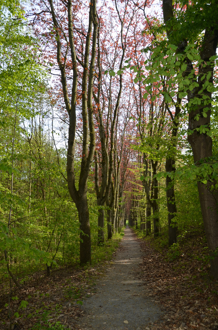 Frühling