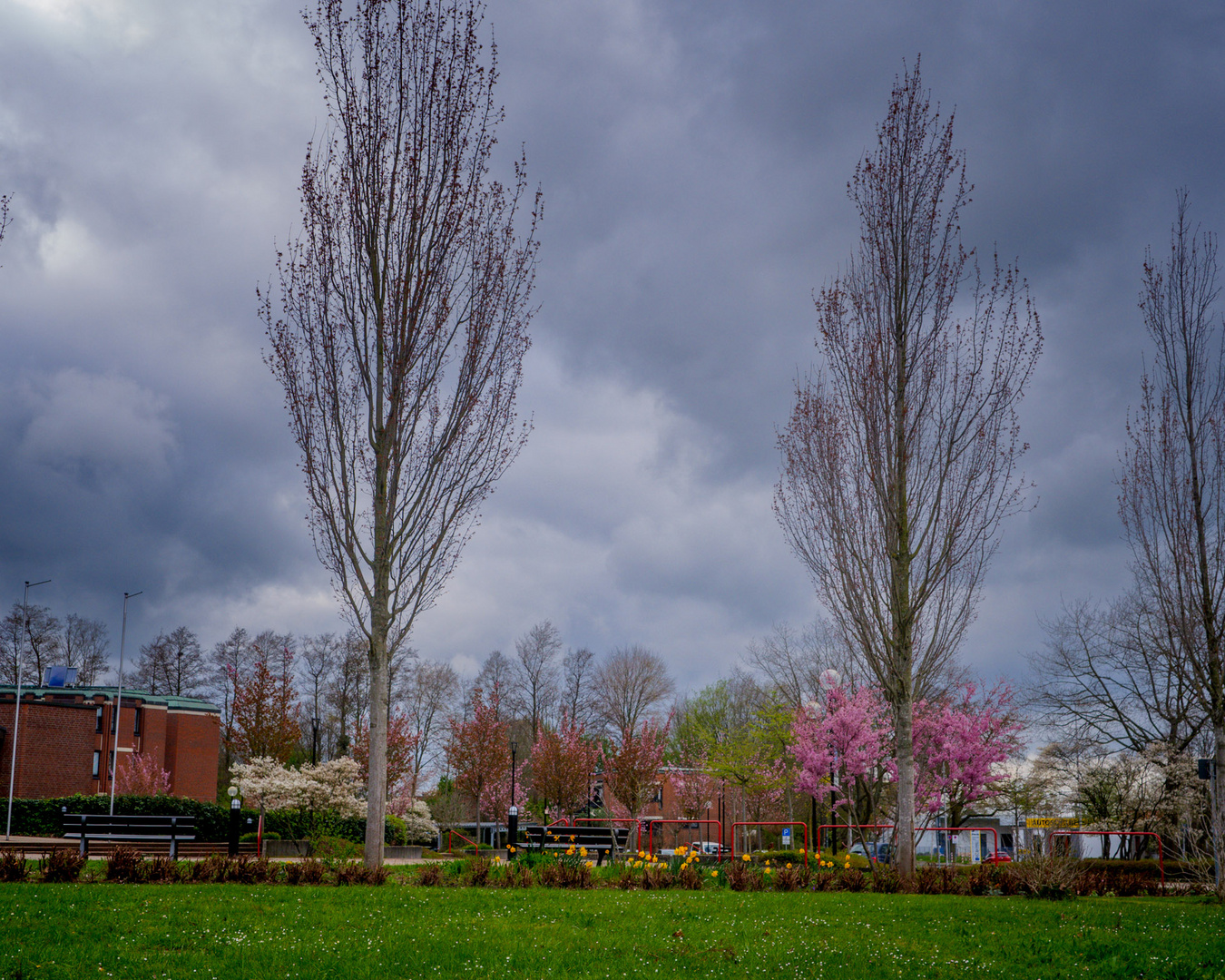 Frühling  ....