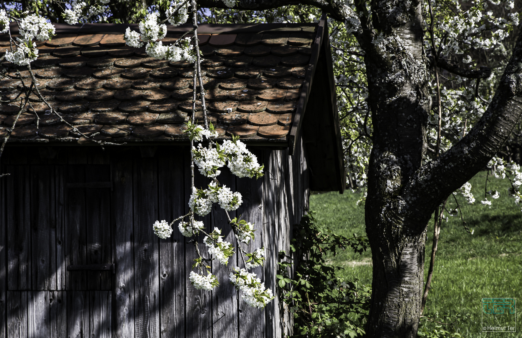 Frühling