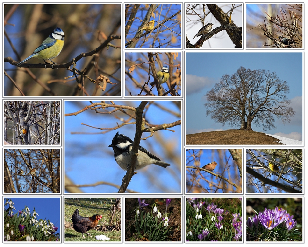 Frühling