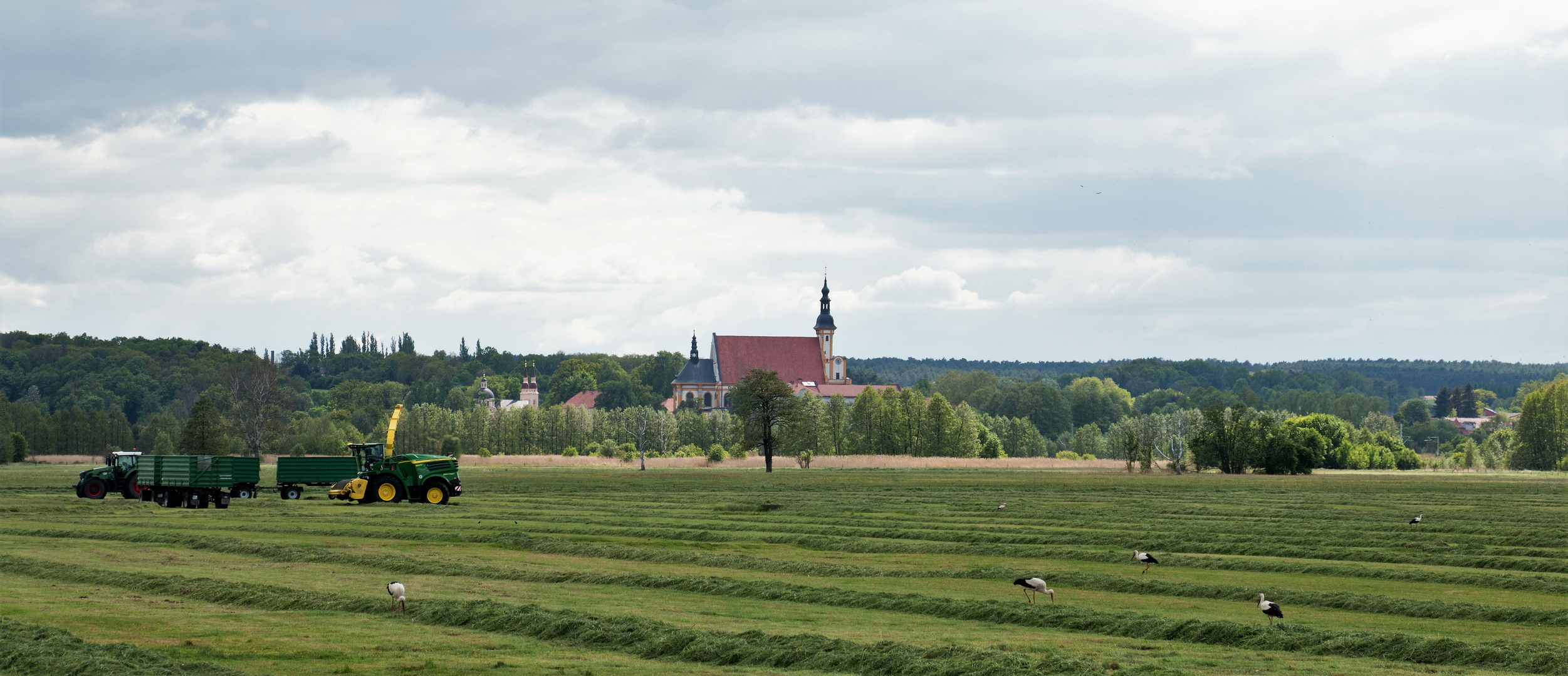 Frühling...