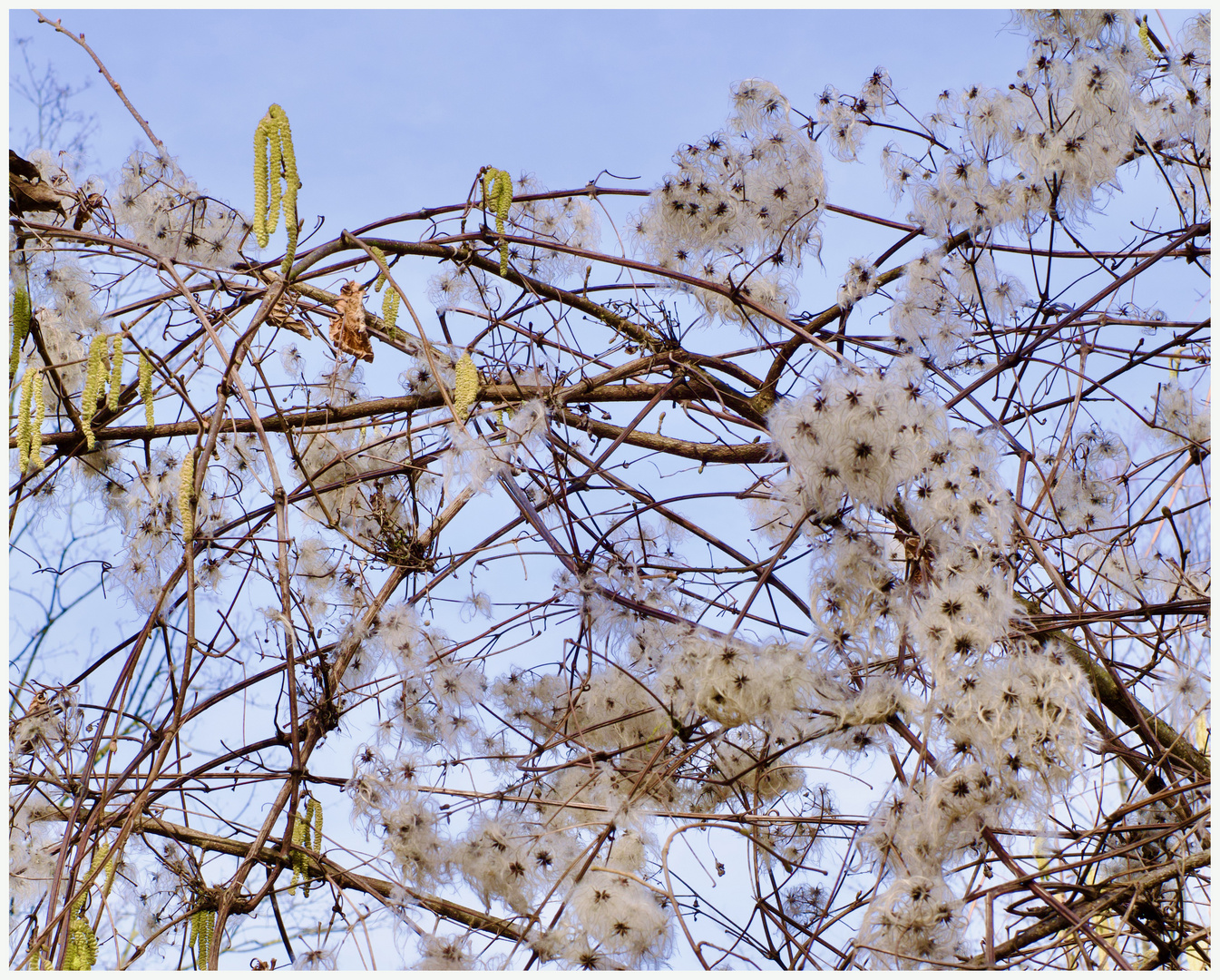 Frühling