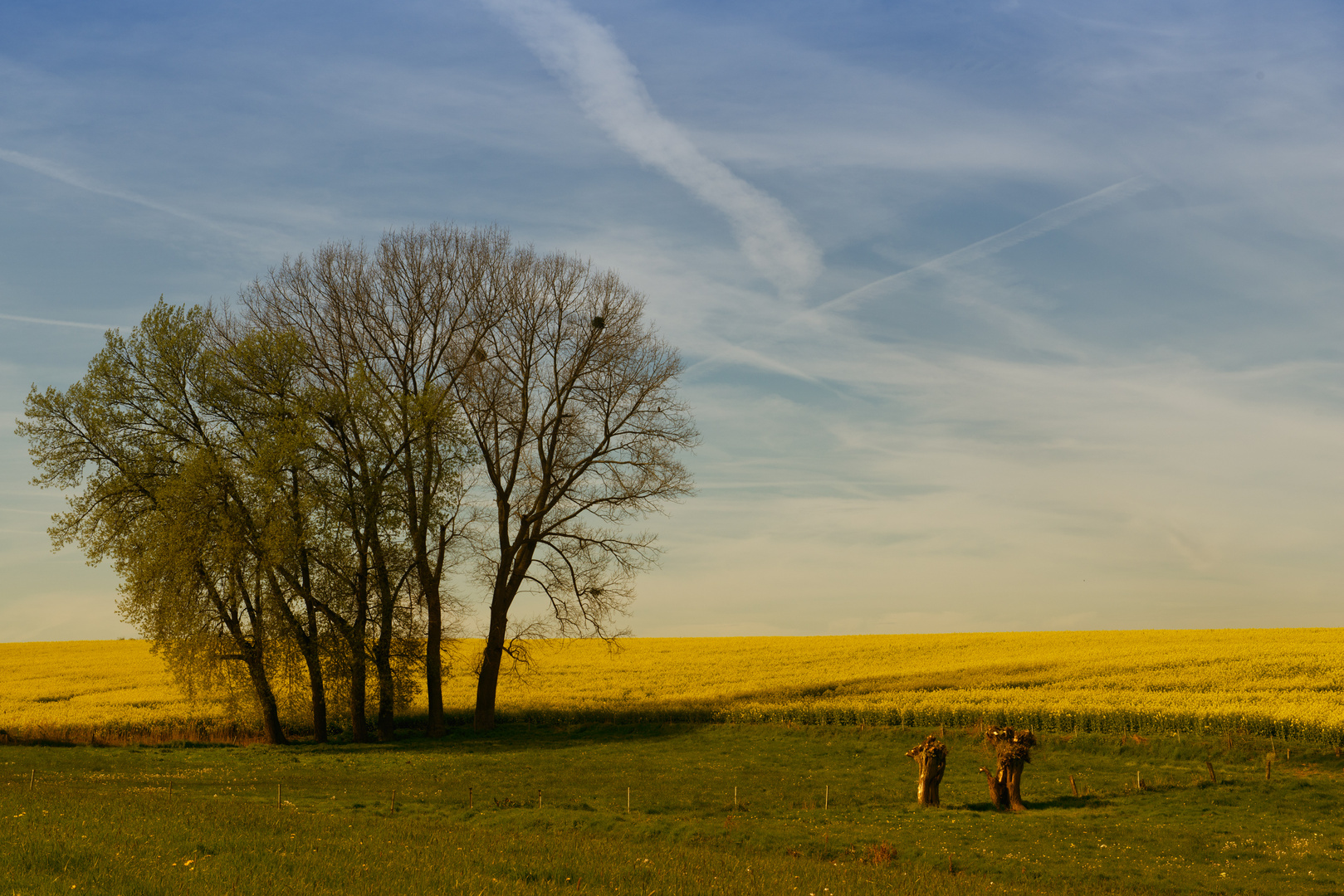 Frühling