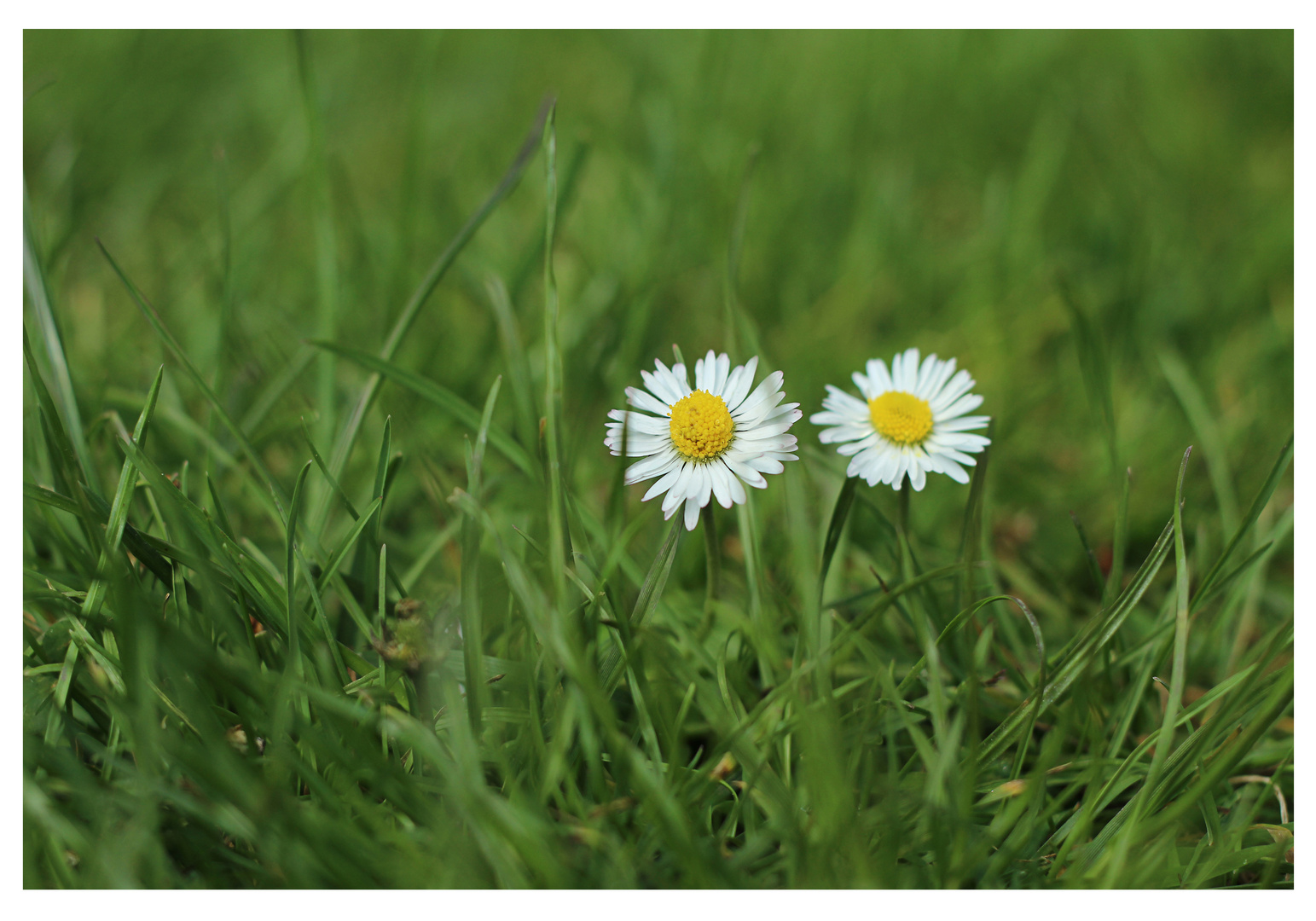 Frühling