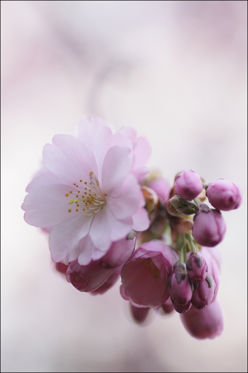 Frühling...