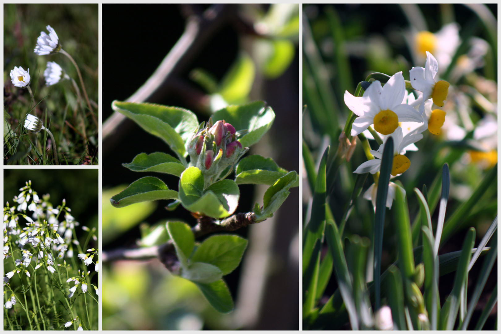 Frühling