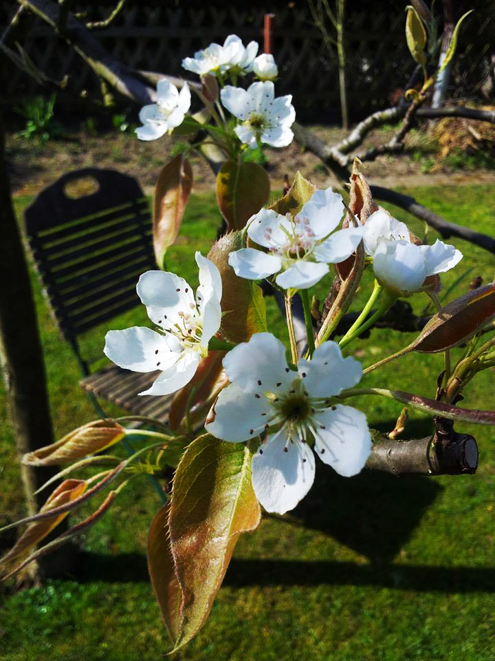 Frühling