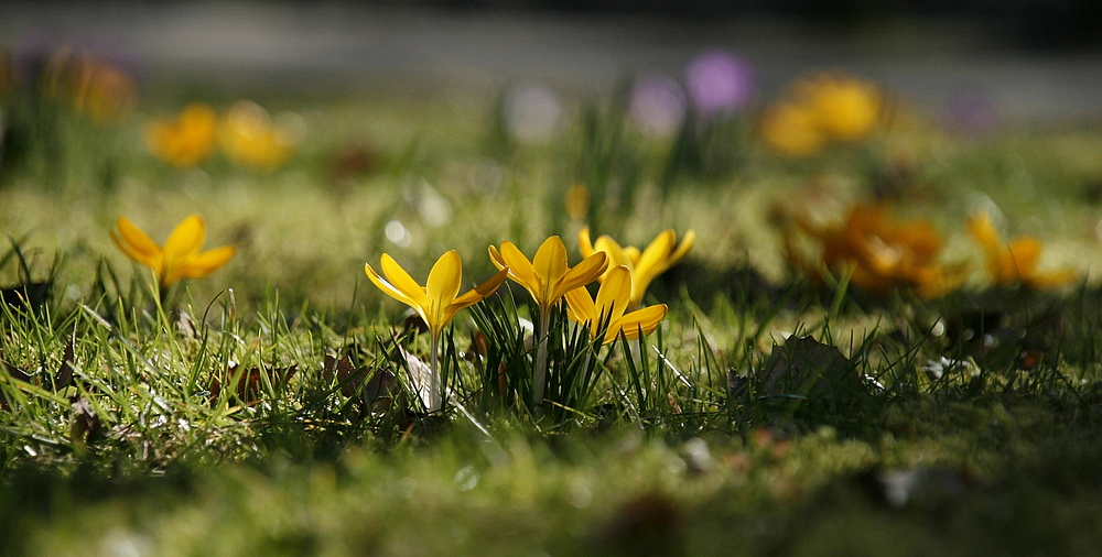 Frühling.....