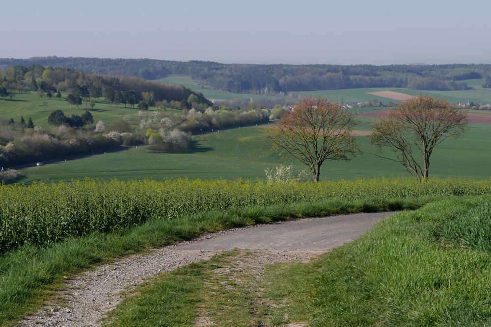 Frühling