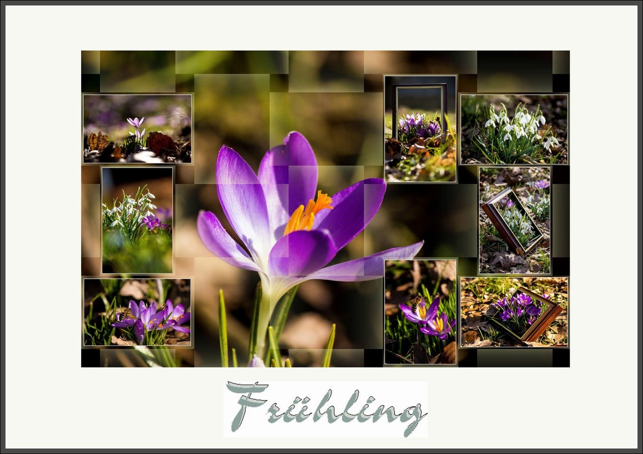 Frühling