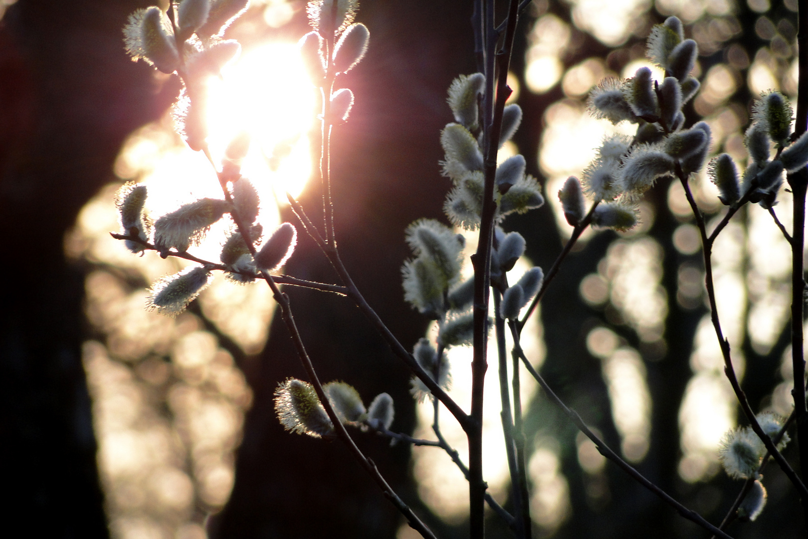 Frühling