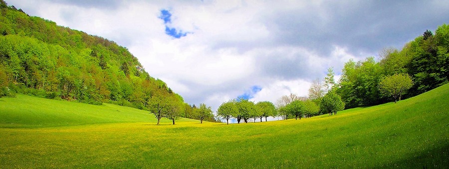 Frühling