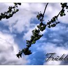 frühling