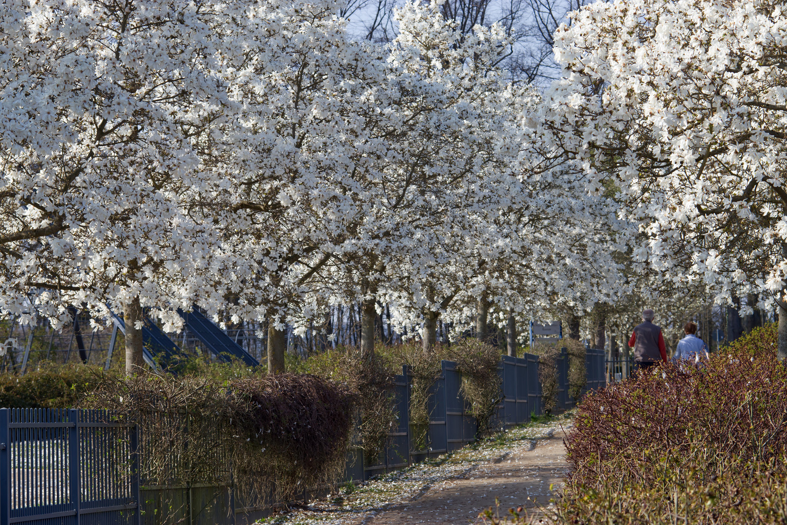 Frühling