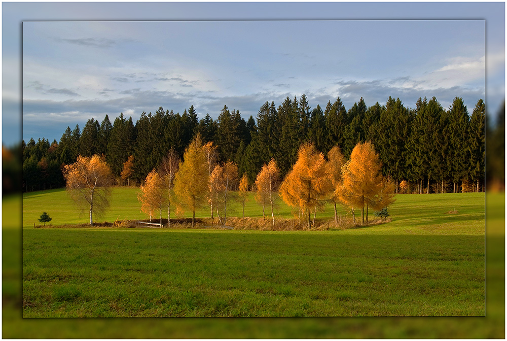 Frühling