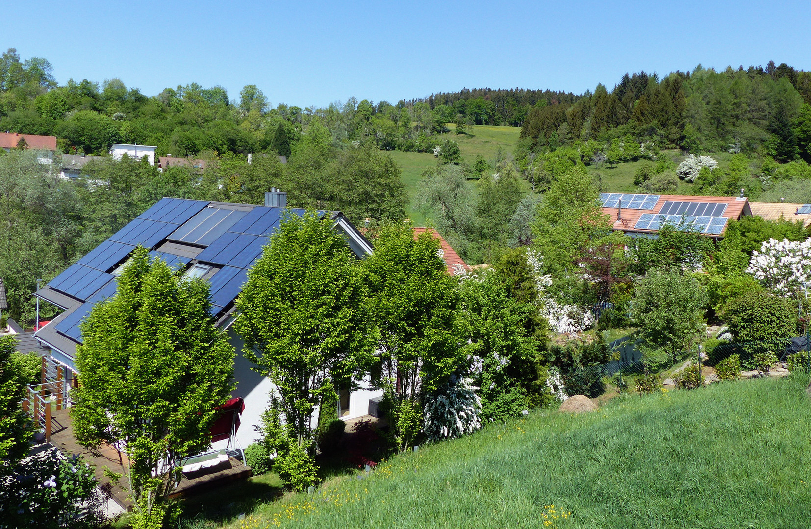 Frühling.... 