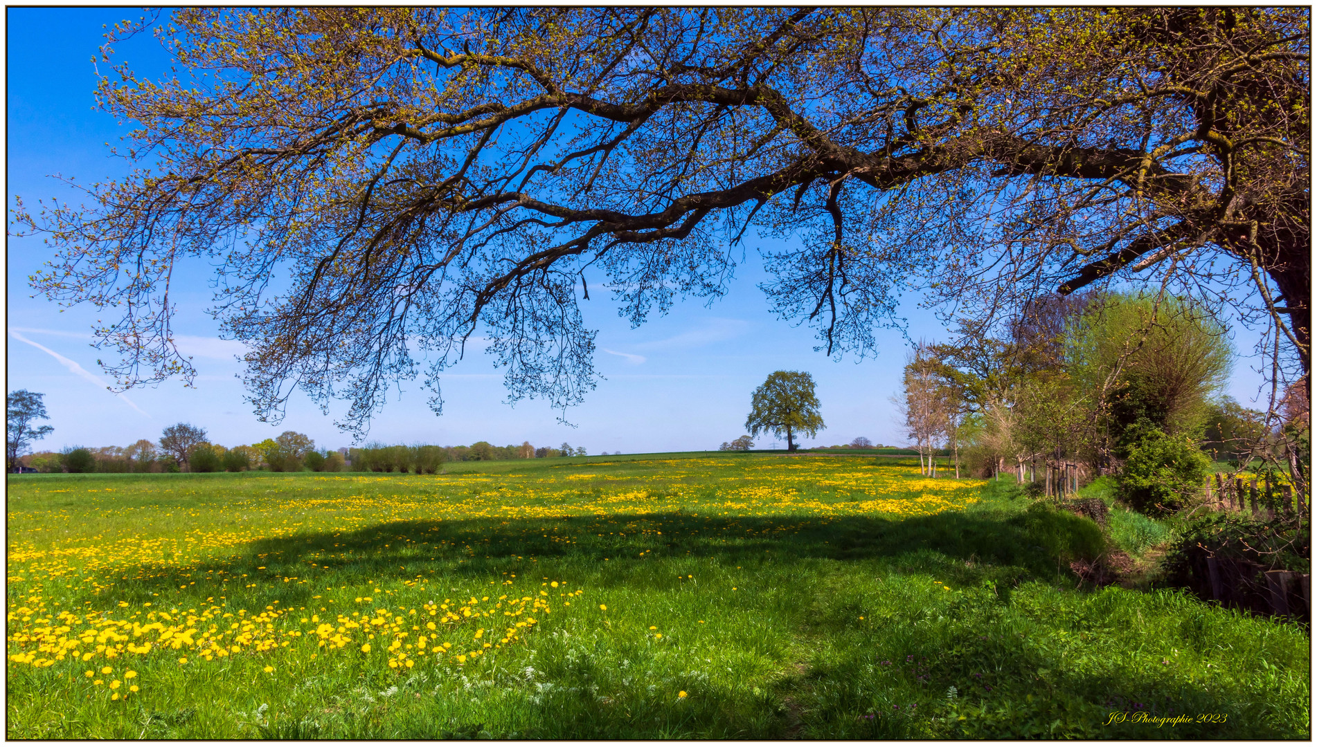 Frühling