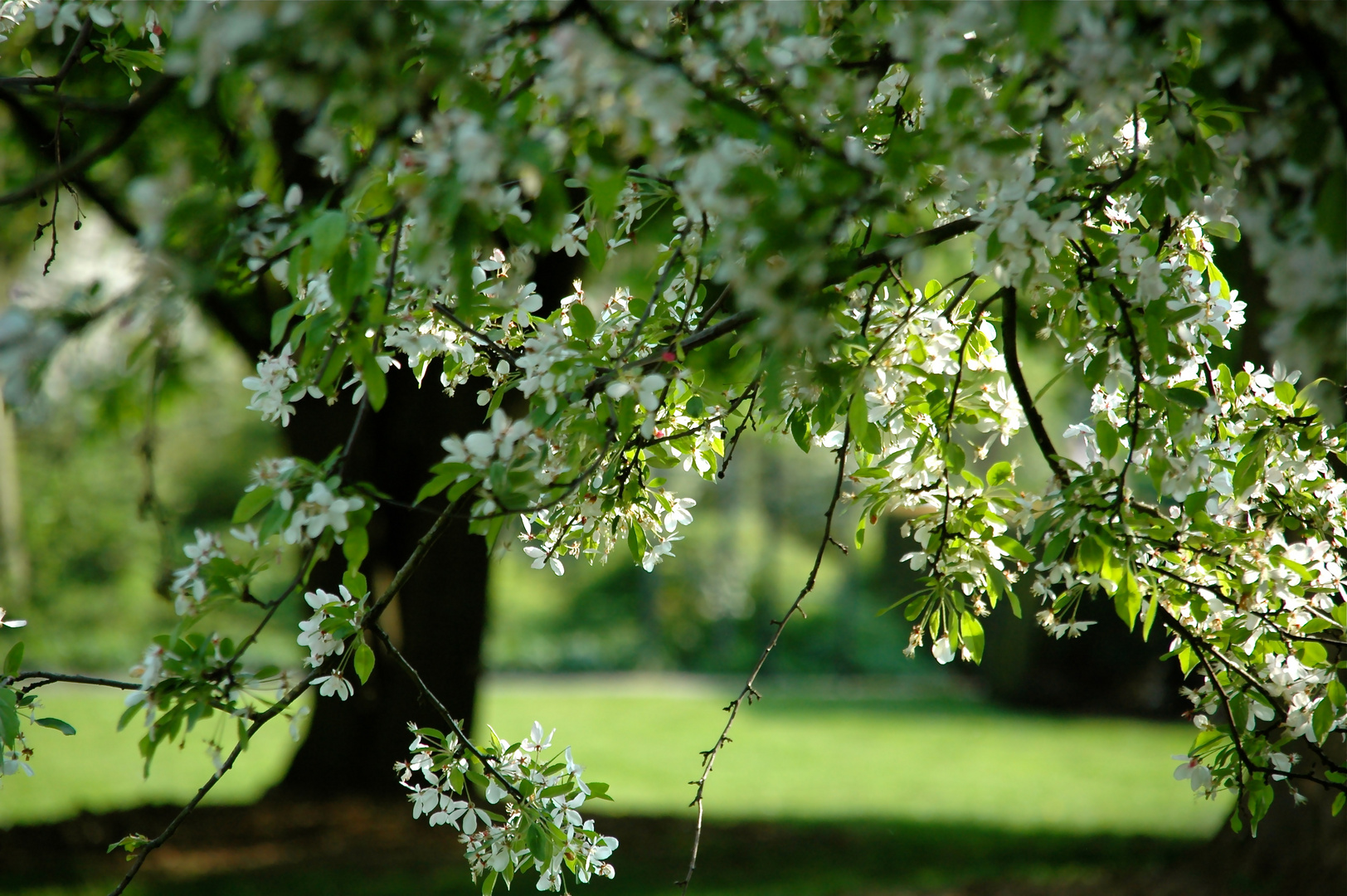 Frühling