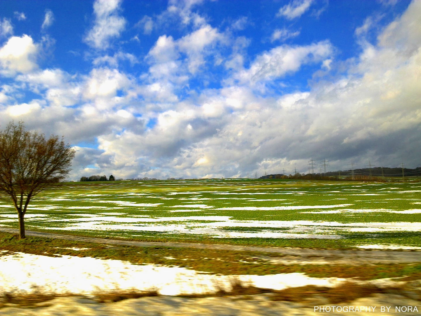 Frühling ?