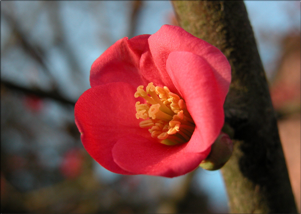 Frühling