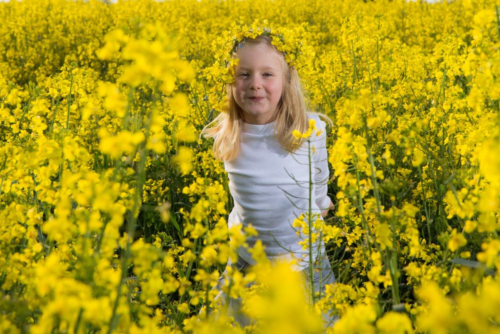 Frühling