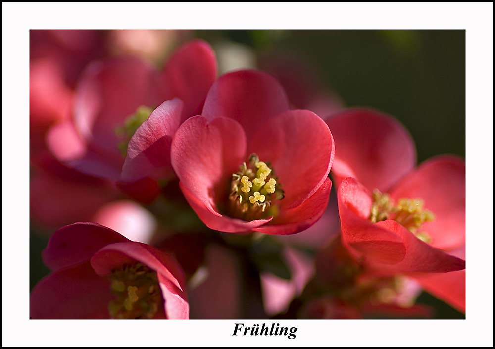 "Frühling"