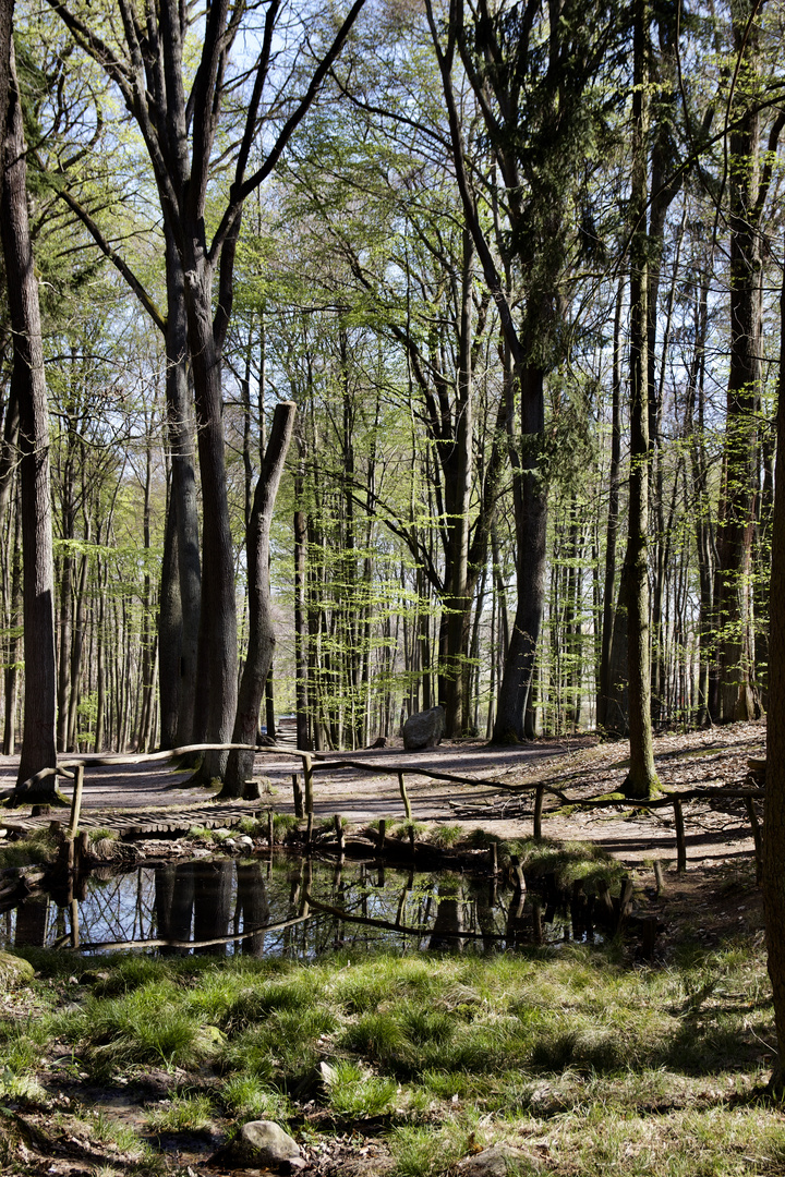 Frühling 