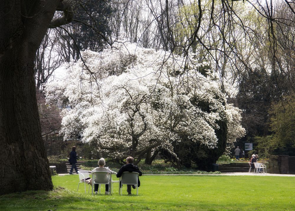 Frühling