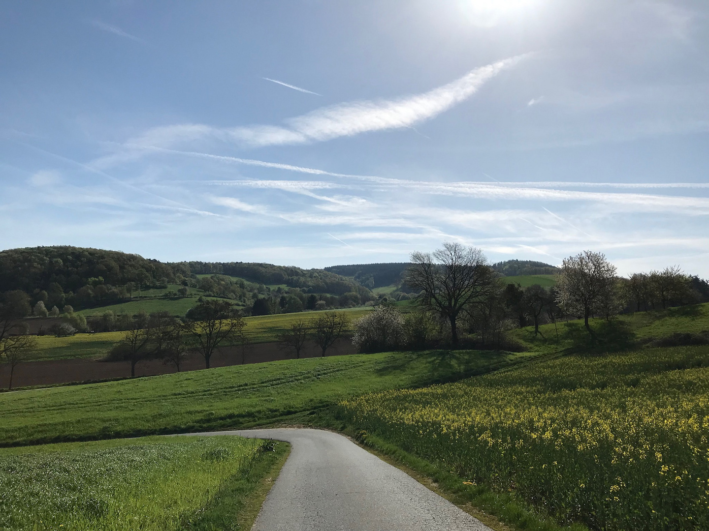 Frühling bei Brensbach/Odenwald I